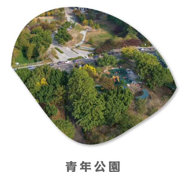 青年公園